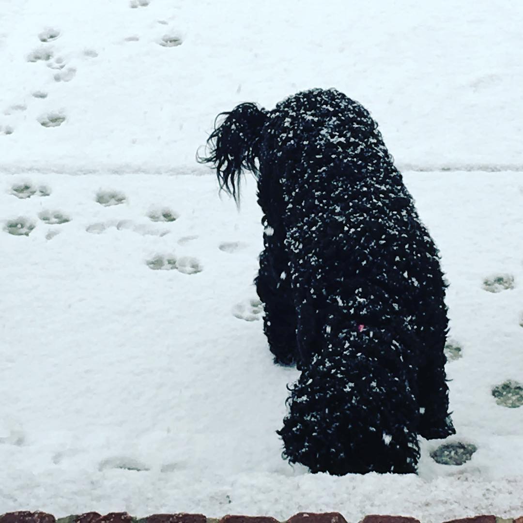 And here comes Pepper…all sprinkled and ready!!