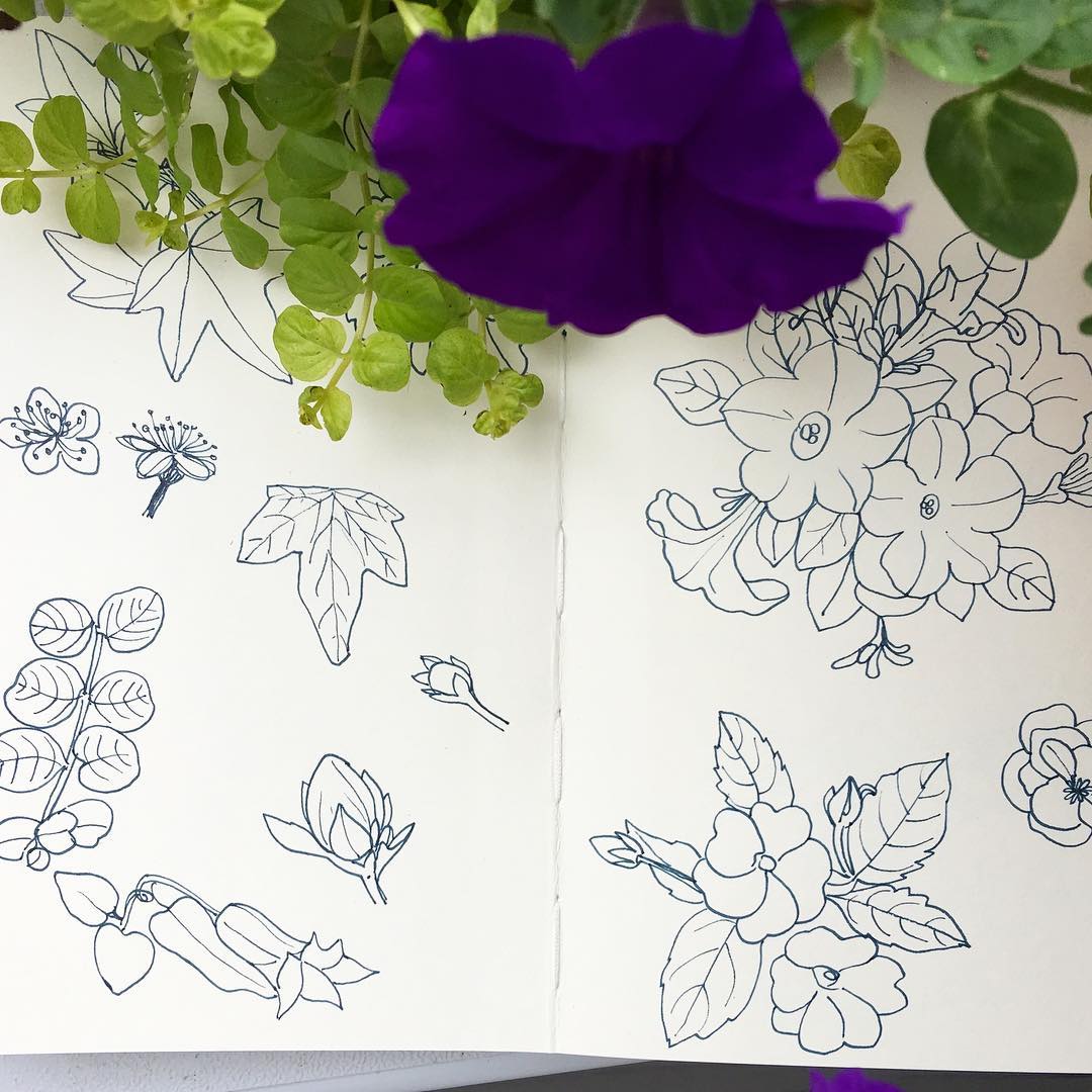 Daily Art Journaling ~ Day 278 Drawing some ‘real flowers’ today!