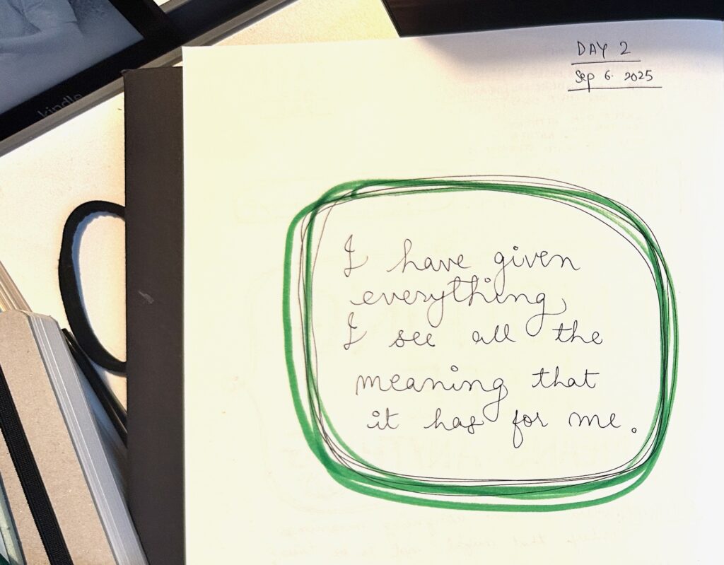 I have given everything I see all the meaning that it has for me.