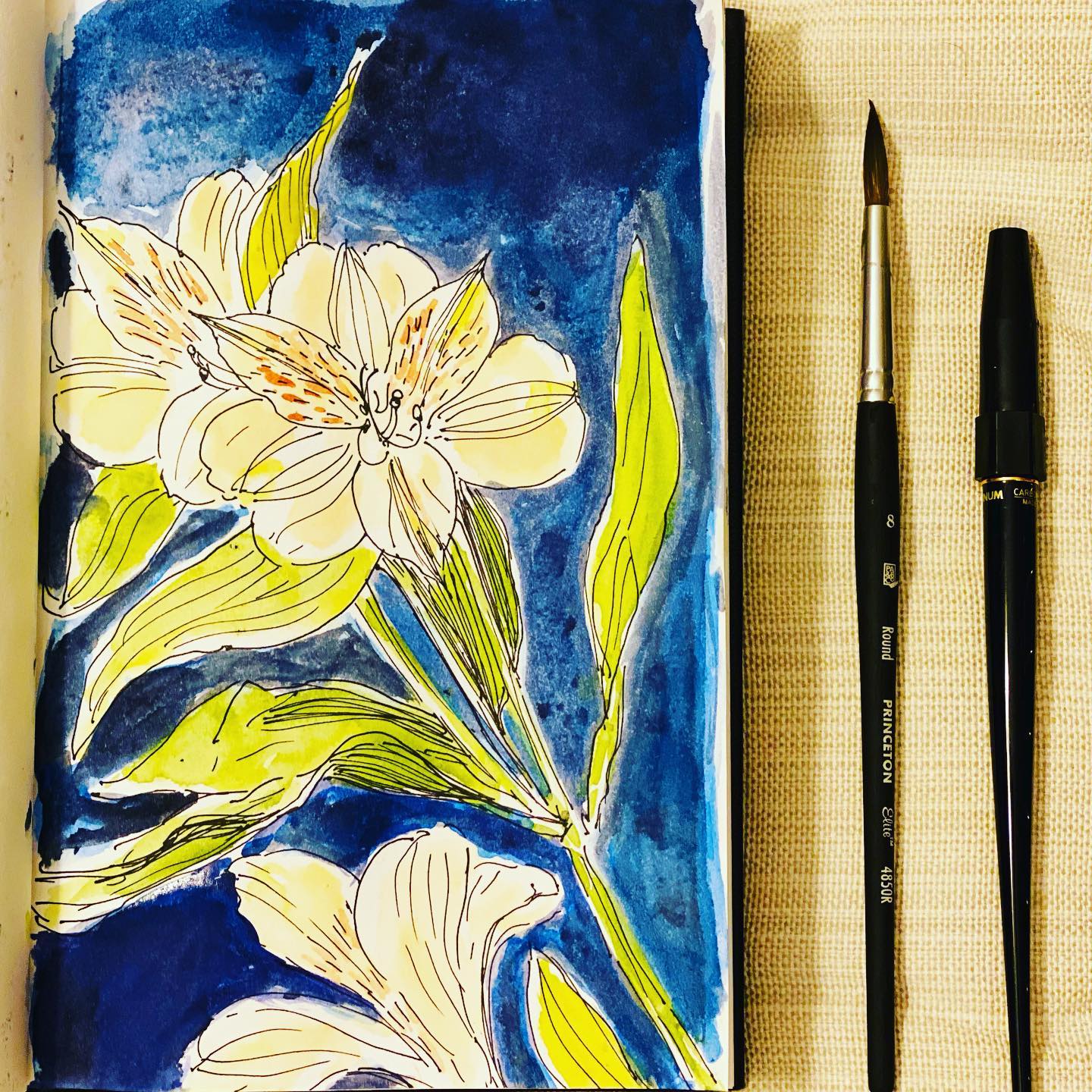 Drawing with the pen and then layering it with a quick watercolor wash is something I am really enjoying these days. It’s spring time and a whole lot of flowers are in full bloom. Wondering what to paint next!