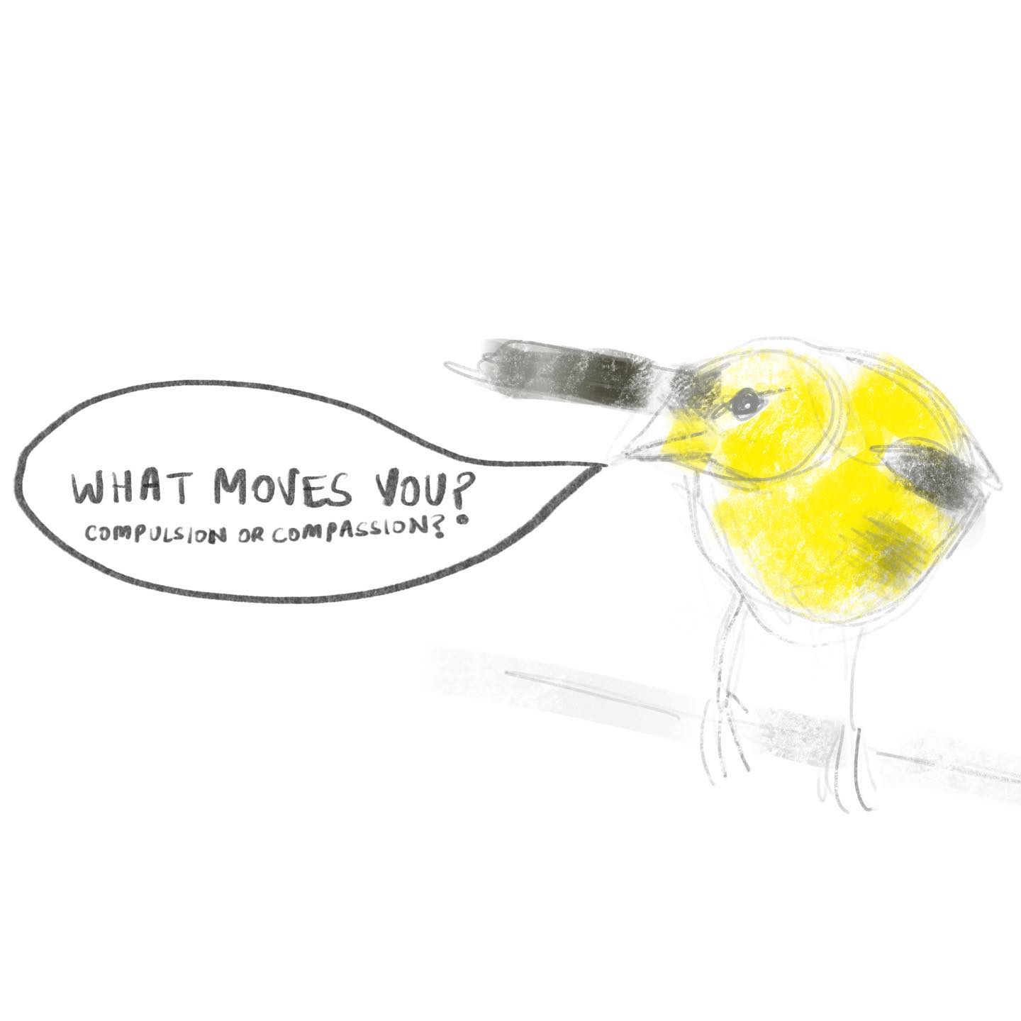 Every moment of the day should be filled with happiness is the spiritual message from the goldfinch… A quick rendering from a picture shot by @tejjas_kaul