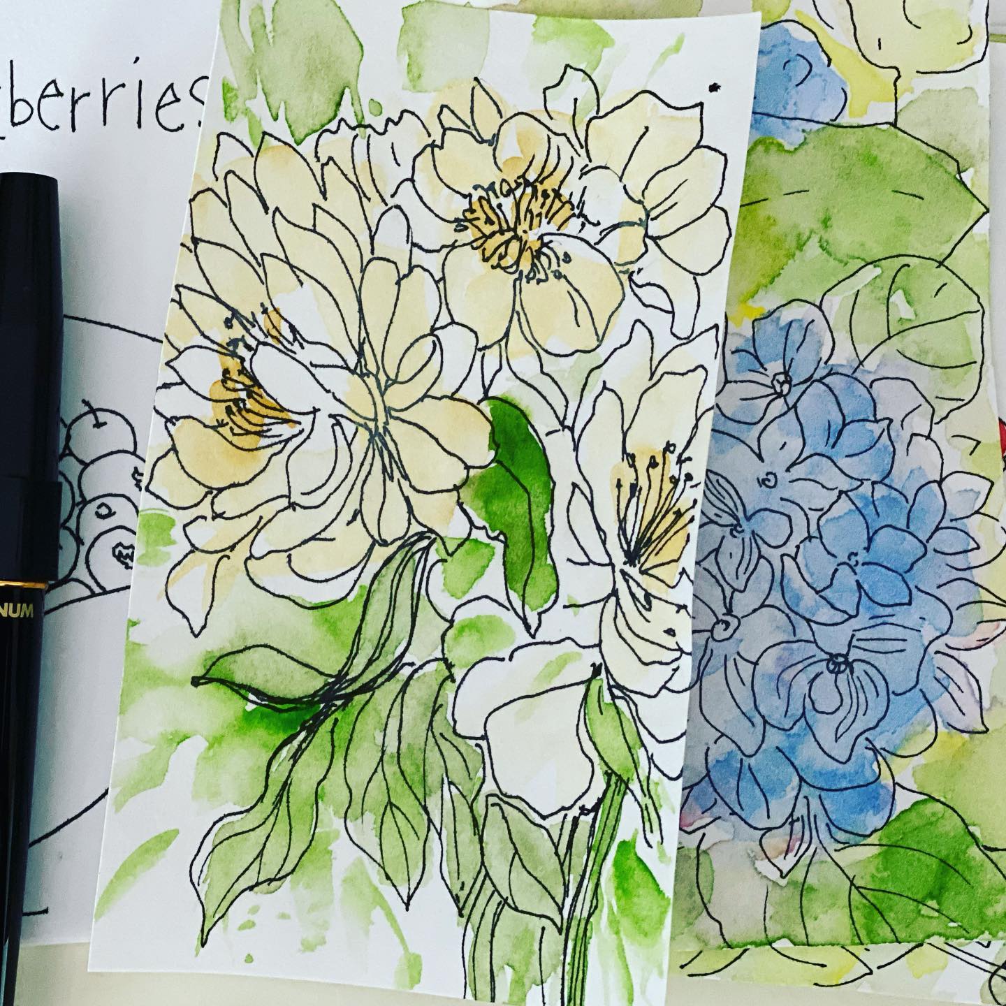 Hydrangeas, peonies and some blueberries!