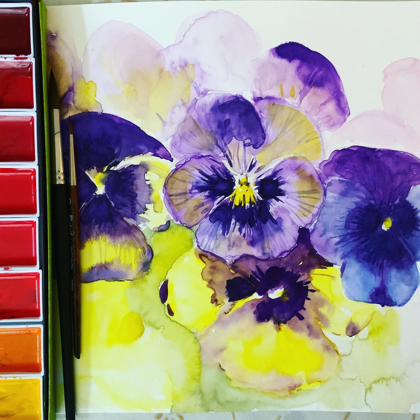 More pansies!