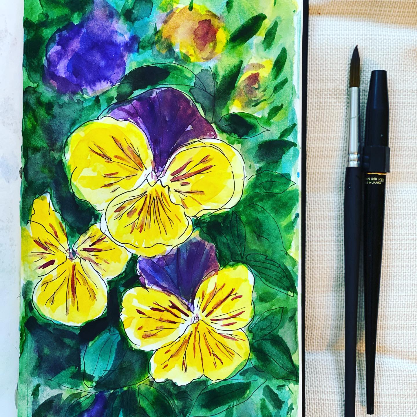 One of the most resilient and tough plants! These beautiful pansies are a prized possession of every garden.