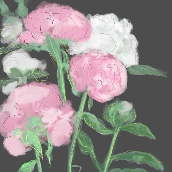 Painted peonies...