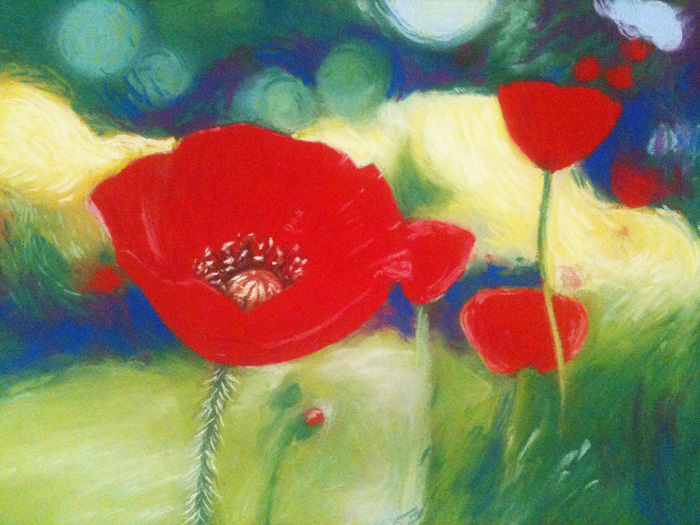 poppies_3