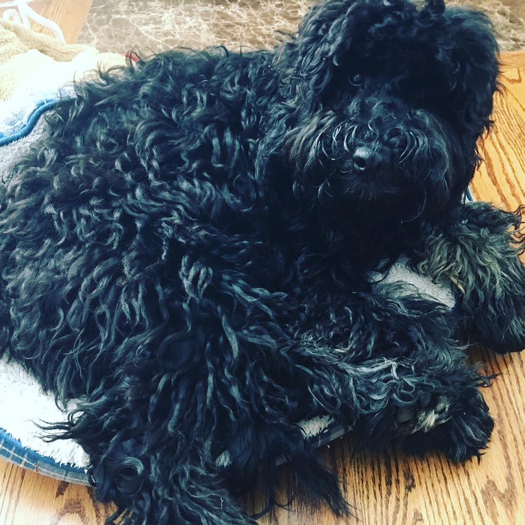 …she can barely fit in her small bed! How she has grown in such a short time!!