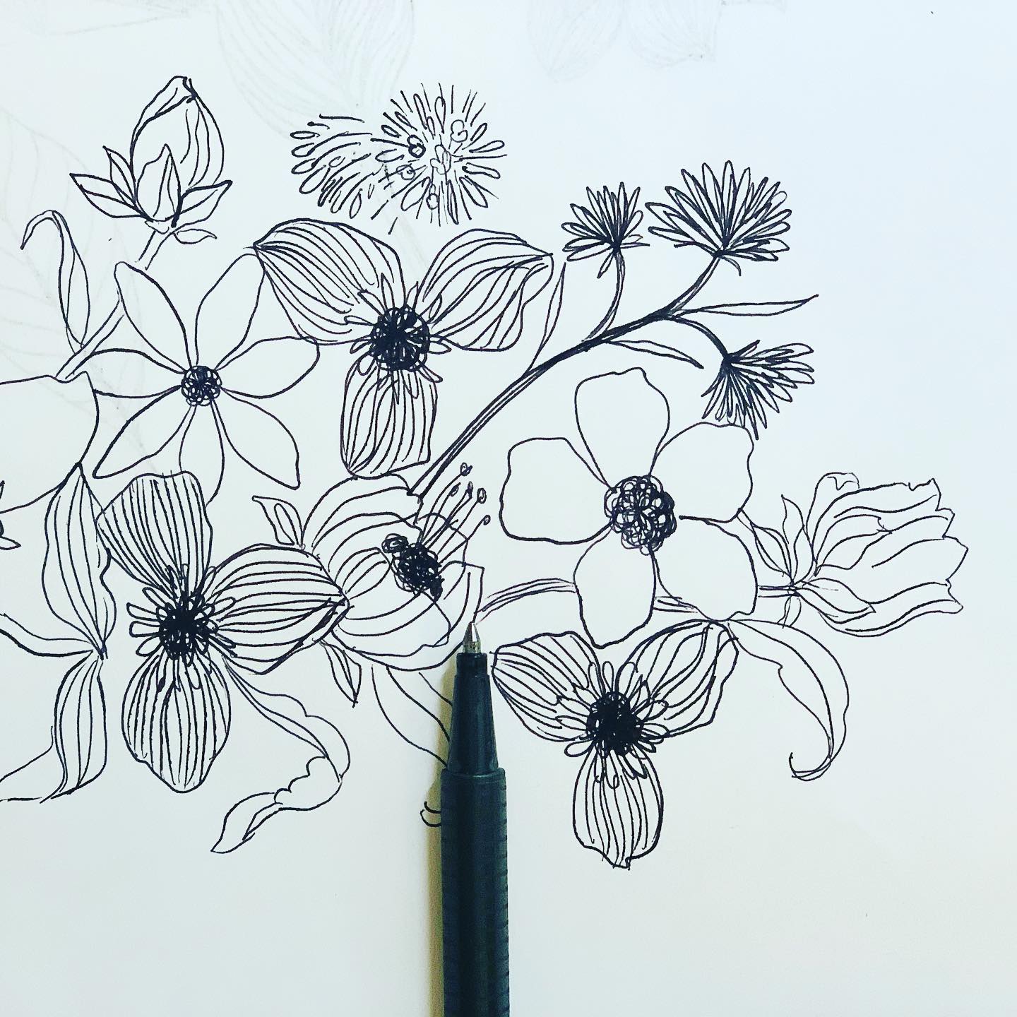 There are always flowers for those who want to see them. – Henri Matisse