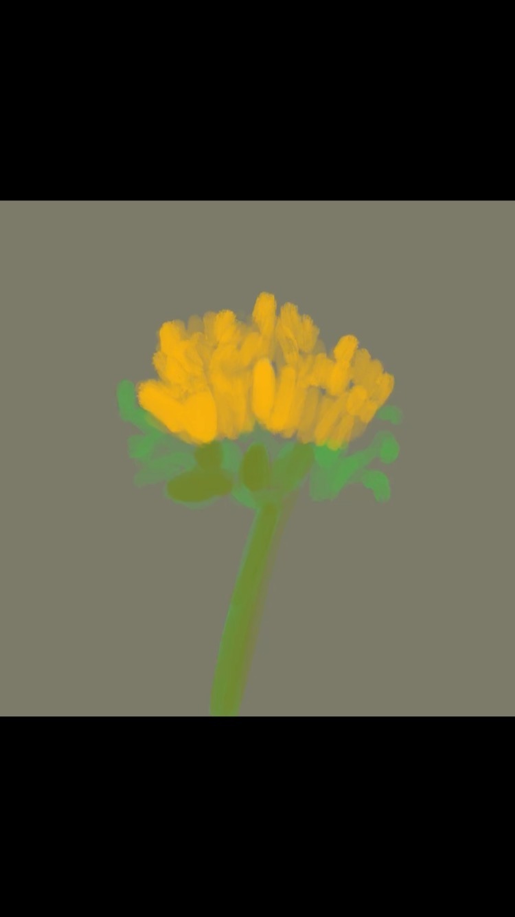Time lapse…