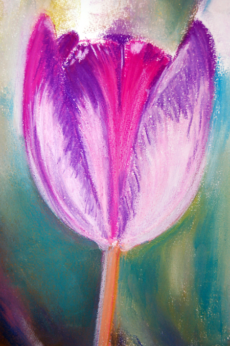 Tulip – WIP