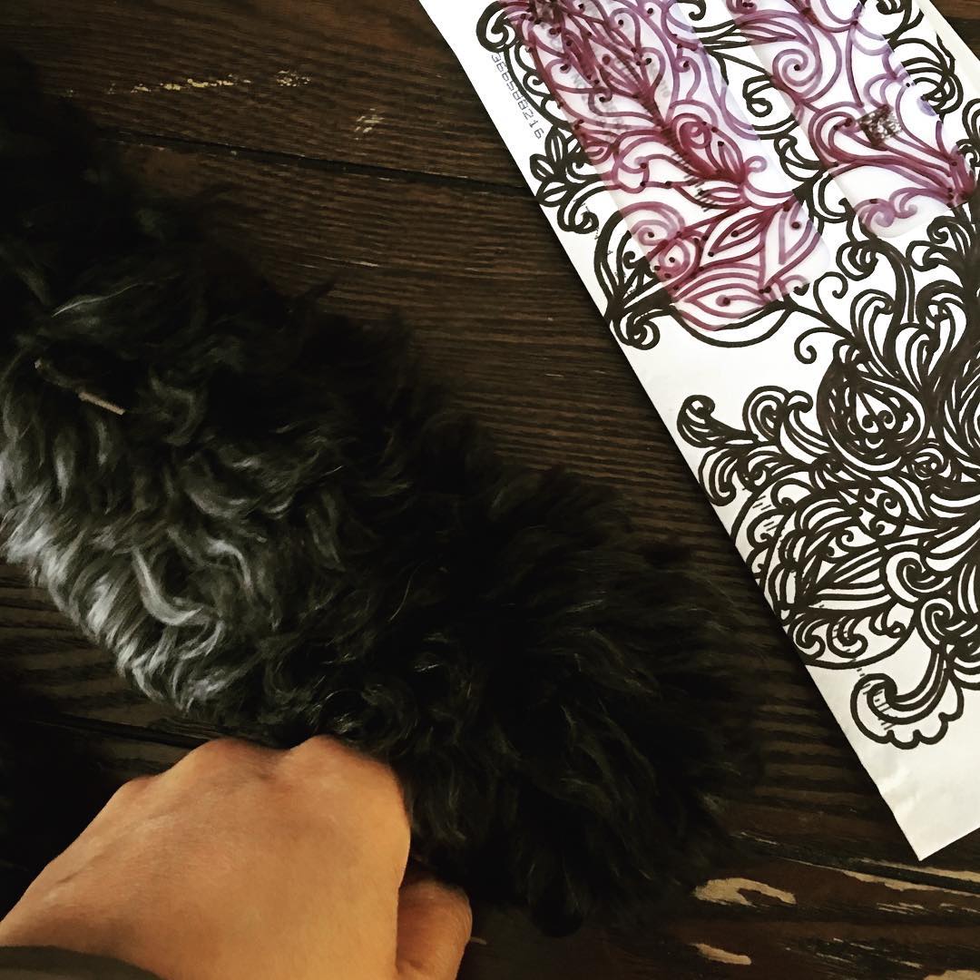 When you are eyeing all the junk mail envelopes that just came in to doodle all over, but the puppy wants to play…