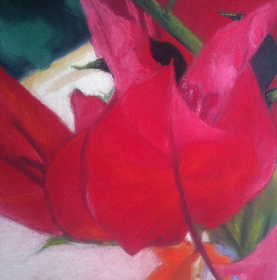 WIP – Bougainvillea