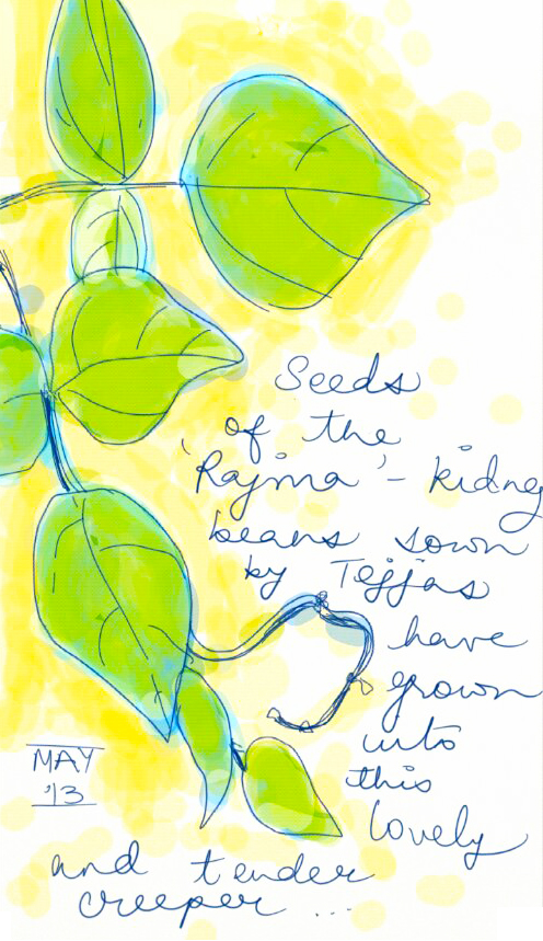 Tender tendrils