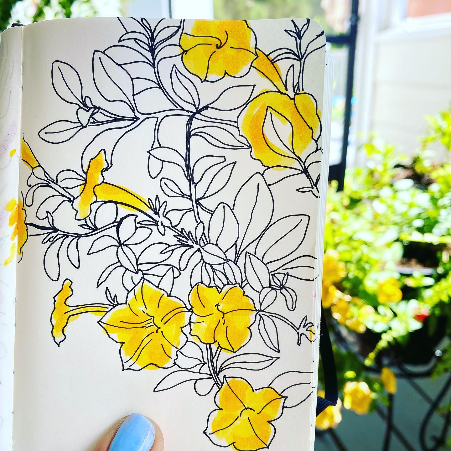 Yellow petunias do brighten up my living space.